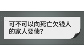 凉山凉山的要账公司在催收过程中的策略和技巧有哪些？